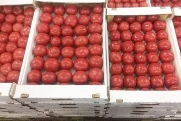 Лучшее для потребителя